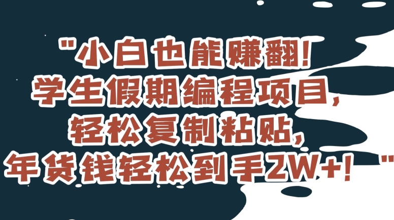 小白也能赚翻!学生假期编程项目,轻松复制粘贴,年货钱轻松到手2W+【揭秘】-开心分享网