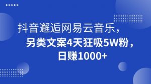 抖音邂逅网易云音乐，另类文案4天狂吸5W粉，日赚1000+【揭秘】-开心分享网