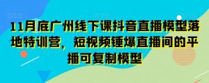 11月底广州线下课抖音直播模型落地特训营，短视频锤爆直播间的平播可复制模型-开心分享网