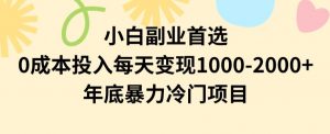 小白副业首选,0成本投入,每天变现1000-2000年底暴力冷门项目【揭秘】-开心分享网