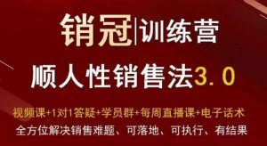 爆款!销冠训练营3.0之顺人性销售法,全方位解决销售难题、可落地、可执行、有结果-开心分享网