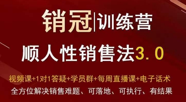 爆款!销冠训练营3.0之顺人性销售法,全方位解决销售难题、可落地、可执行、有结果-开心分享网