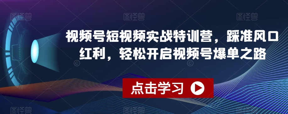 视频号短视频实战特训营,踩准风口红利,轻松开启视频号爆单之路-开心分享网