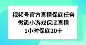视频号直播任务，微恐小游戏，1小时20+【揭秘】-开心分享网
