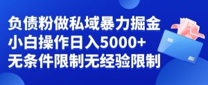 负债粉私域暴力掘金,小白操作入5000,无经验限制,无条件限制【揭秘】-开心分享网