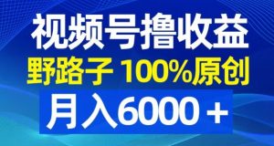 视频号野路子撸收益，100%原创，条条爆款，月入6000＋【揭秘】-开心分享网