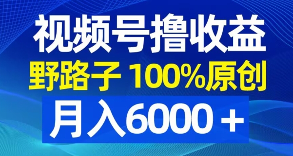 视频号野路子撸收益，100%原创，条条爆款，月入6000＋【揭秘】-开心分享网