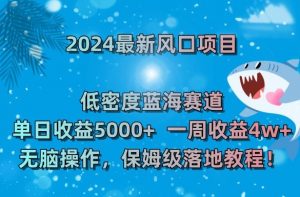 2024最新风口项目,低密度蓝海赛道,单日收益5000+,一周收益4w+!【揭秘】-开心分享网