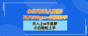 小红书无人直播月入30gmv实操教学,月入上w不是梦,小白轻松上手【揭秘】-开心分享网