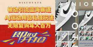 被动引流蓝海赛道，AJ运动用品私域玩法，无限复购年入百万【揭秘】-开心分享网