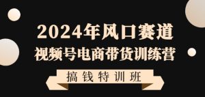 2024年风口赛道视频号电商带货训练营搞钱特训班,带领大家快速入局自媒体电商带货-开心分享网