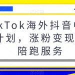 TIKTOK海外抖音中视频计划，涨粉变现提现陪跑服务