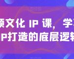 短视频文化IP课，学习文化IP打造的底层逻辑