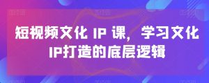 短视频文化IP课,学习文化IP打造的底层逻辑-开心分享网