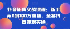 抖音矩阵实战课程:新手从0到100万粉丝,全套抖音变现实操-开心分享网