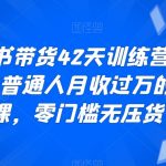 小RED书带货42天训练营（2.0版），普通人月收过万的带货课，零门槛无压货