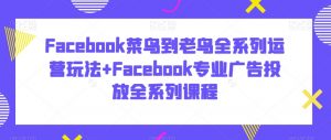 Facebook菜鸟到老鸟全系列运营玩法+Facebook专业广告投放全系列课程-开心分享网