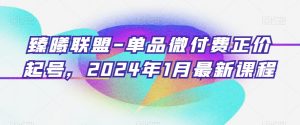 臻曦联盟-单品微付费正价起号，2024年1月最新课程-开心分享网