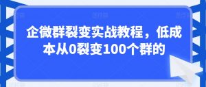 企微群裂变实战教程,低成本从0裂变100个群的-开心分享网
