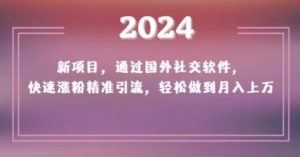 2024新项目,通过国外社交软件,快速涨粉精准引流,轻松做到月入上万【揭秘】-开心分享网