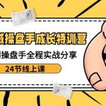 电商私域操盘手成长特训：从小白到操盘手全程实战分享【24节线上课】
