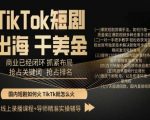 TIKTOK短剧出海干美金，商业已经闭环抓紧布局，抢占关键词抢占排名