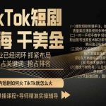 TIKTOK短剧出海干美金，商业已经闭环抓紧布局，抢占关键词抢占排名