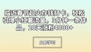 临近春节超火存钱打卡,轻松引爆小红薯流量,3分钟一条作品,20天涨粉4000+【揭秘】-开心分享网