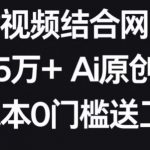AI美女视频结合网盘拉新，日收5万+两分钟一条AI原创视频，0成本0门槛送工具【揭秘】
