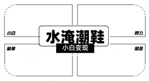 2024全新冷门水淹潮鞋无人直播玩法，小白也能轻松上手，打爆私域流量，轻松实现变现【揭秘】-开心分享网