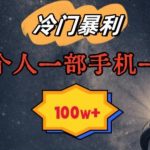 暴利冷门赛道，一单268，一个人一部手机一年100W【揭秘】