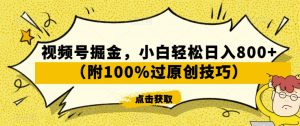 视频号掘金,小白轻松日入800+(附100%过原创技巧)【揭秘】-开心分享网