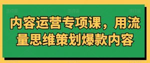 内容运营专项课,用流量思维策划爆款内容-开心分享网