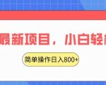 2024最新项目，红娘项目，简单操作轻松日入800+【揭秘】