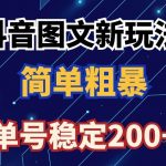 抖音图文流量变现，抖音图文新玩法，日入200+【揭秘】