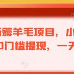 最新薅羊毛项目，小白首选，0门槛提现，一天140+【揭秘】