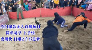 冷门爆款无人直播项目，简单易学上手快，变现快日赚2千不是梦【揭秘】-开心分享网