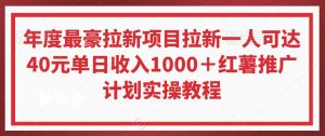 年度最豪拉新项目拉新一人可达40元单日收入1000+红薯推广计划实操教程【揭秘】-开心分享网