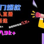 冷门爆款直播间手把手搭建，流量巨大，日入3K+【揭秘】