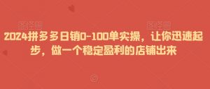 2024拼多多日销0-100单实操,让你迅速起步,做一个稳定盈利的店铺出来-开心分享网