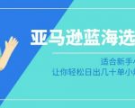 亚马逊-蓝海选品课：适合新手小白卖家，让你轻松日出几十单小爆款产品