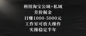 利用淘宝公域+私域差价掘金，日赚1000-5000元，工作室可放大操作，实操稳定半年【揭秘】-开心分享网