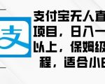 支付宝无人直播项目，日入一千以上，保姆级教程，适合小白