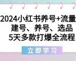 2024小红书养号+流量课：建号、养号、选品，5天多款打爆全流程