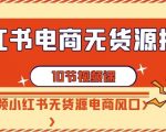 小红书电商无货源打卡，抢先占领小红书无货源电商风口（10节课）