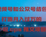 视频号和公众号结合打造月入过万的小说cps推文项目