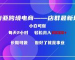 东南亚跨境电商店群新玩法2—小白每天两小时 轻松10000+