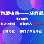 东南亚跨境电商店群新玩法2—小白每天两小时 轻松10000+