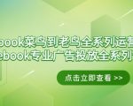 Facebook-菜鸟到老鸟全系列运营玩法+Facebook-专业广告投放全系列课程