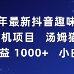 2024年最新抖音趣味玩法挂机项目 汤姆猫每日收益1000多小白专属